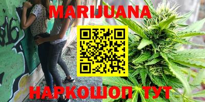 индика Кулебаки