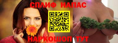 индика Кулебаки