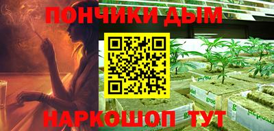 индика Кулебаки