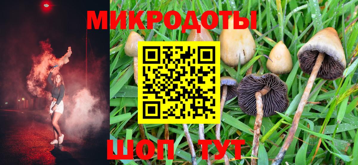 Зеленогорск  Псилоцибиновые грибы Magic Shrooms  Вход с VPN  Галлюциногенные грибы прущие грибы 